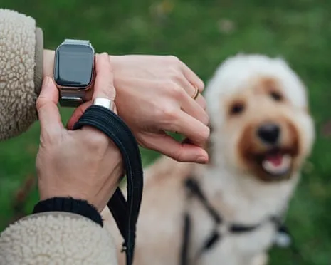 The Truth Concerning Wearable Tech? Living Improves Without a Hectoring Zealot on Your Arm